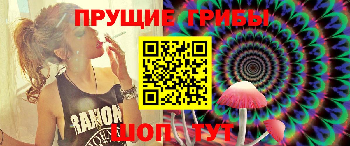 Псилоцибиновые грибы прущие грибы  Вход с VPN  Хасавюрт 