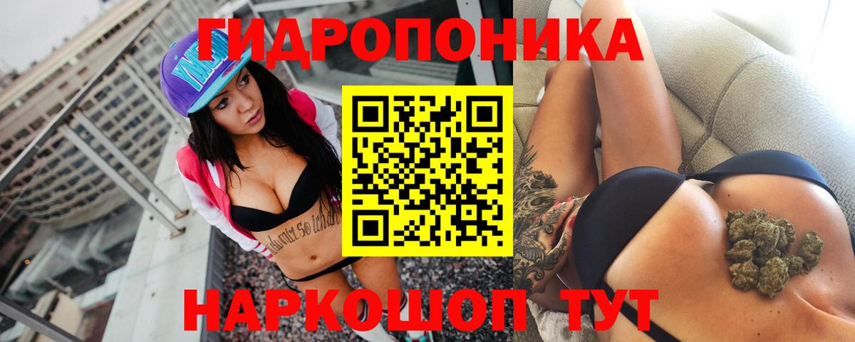 Марихуана Bruce Banner  Вход с VPN  Марихуана гибрид  Конопля VHQ  Хасавюрт 